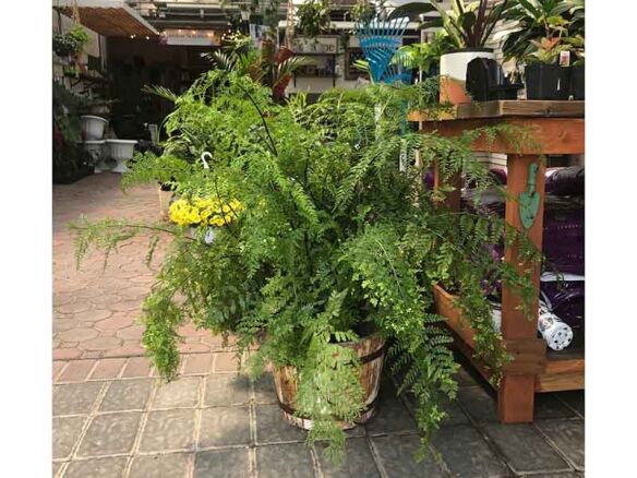 Shoppers Diary Pantoufle in Rotterdam portrait 15