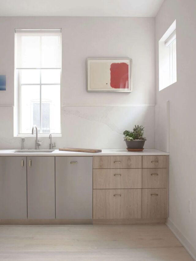 A Subtly Detailed Kitchen in Stainless and Wood for a DC Artist and Her ...