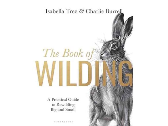 the book of wilding: a practical guide to rewilding, big and small 8