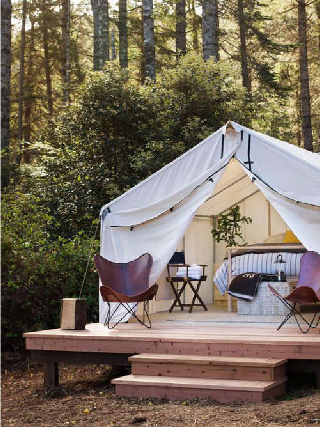 Taza de camping Mountaineering Hiking FanLive Love Laugh Camp  Camper : Hogar y Cocina