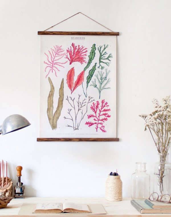 Botany of Desire: 16 Favorite Botanical Prints as Decor - Remodelista