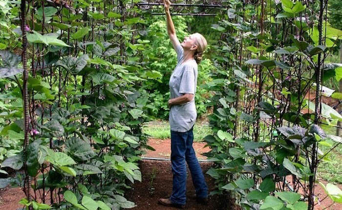 TrendingonGardenista:TheSimpleOutdoorLife-Remodelista