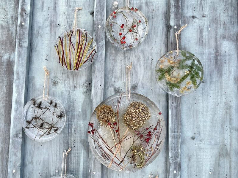 WithLoveFromJapan:DIYFrozenHerbariums-Remodelista