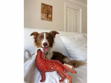 desert dog chew toy outback tails   1 376x282