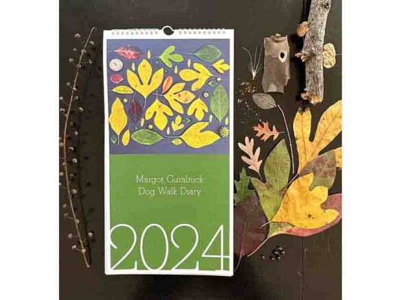 dog walk diary calendar   1 584x438