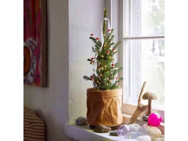 terrain little living tree   1 376x282