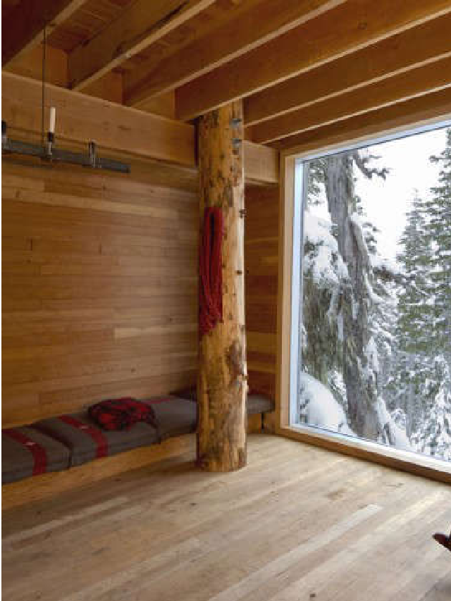 View of Urban Off Grid Living: Increase Your Self-Reliance - Survival Mom