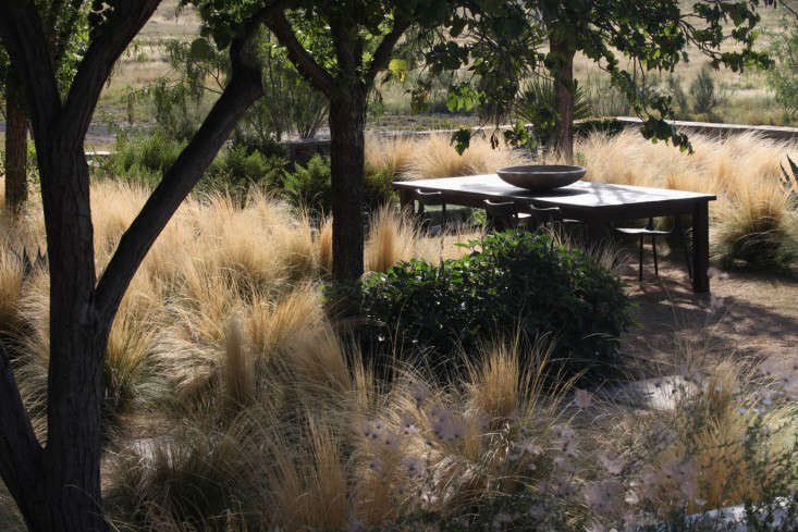 TrendingonGardenista:Waterworld-Remodelista