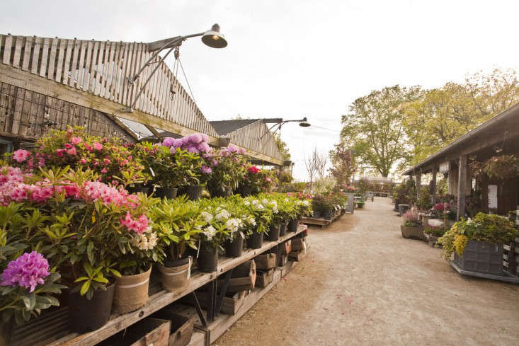 EntertoWin:A$5,000In-StoreShoppingSpreeatTerraininPhiladelphia-Remodelista