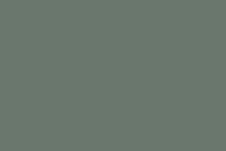 the color in question? green smoke by farrow & ball. 13