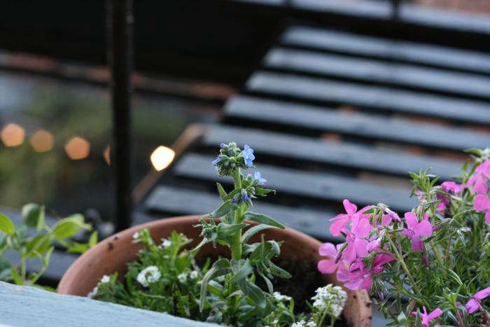DIY:AFireEscape-StyleGarden-Gardenista
