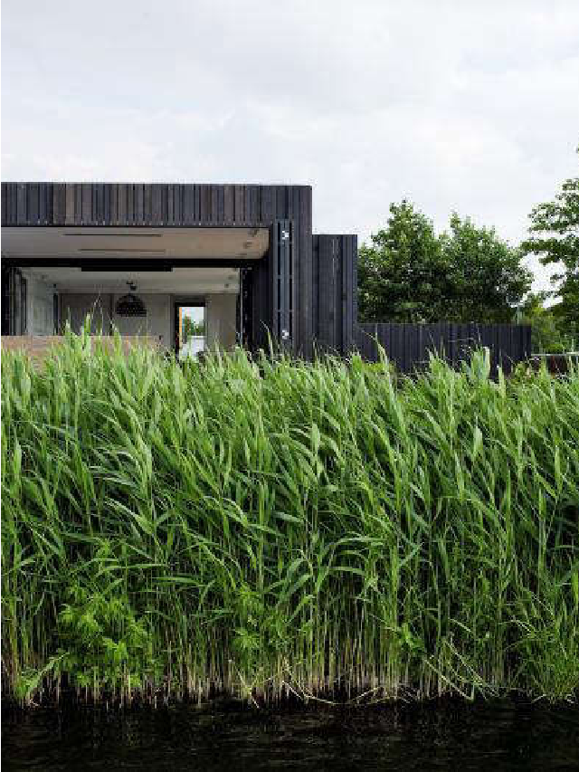 PIET BOON 3 インテリアデザイナー写真集 Required Reading: Piet Boon 3 - Remodelista Web Story - Remodelista