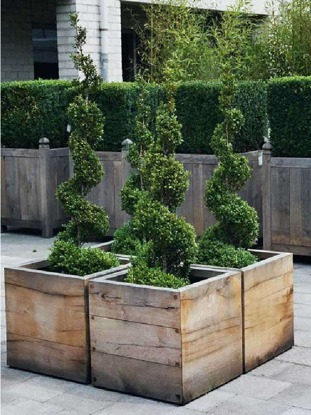 World’s Most Beautiful Garden Planters, by Way of Belgium – Remodelista Web Story