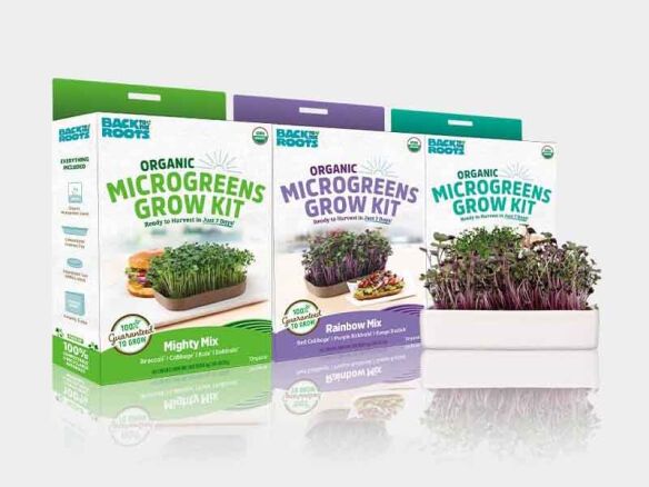 microgreens grow kit (3 pack) with ceramic planter 8