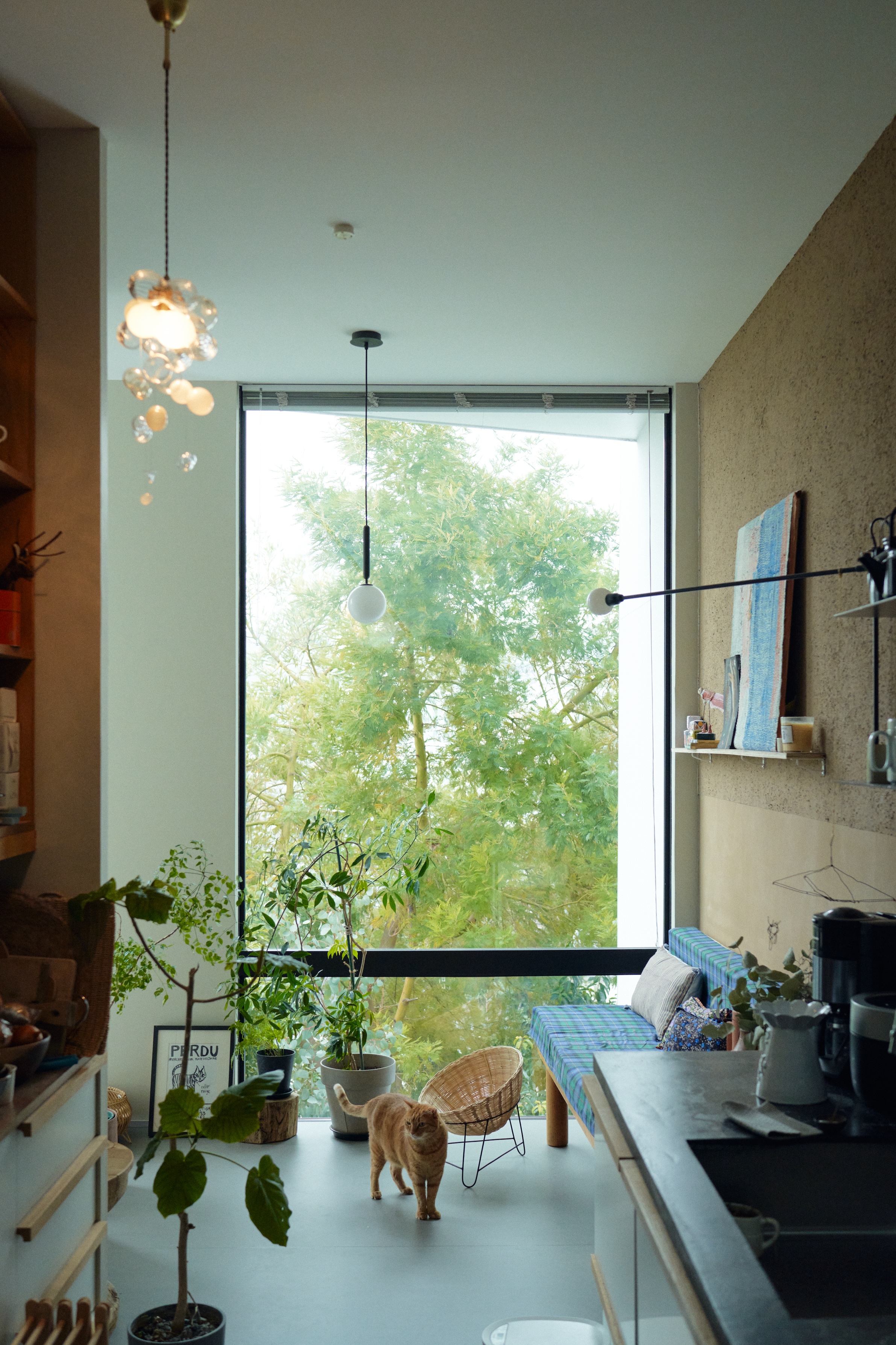 a giant floor to ceiling window overlooks trees—there are no visible hou 22