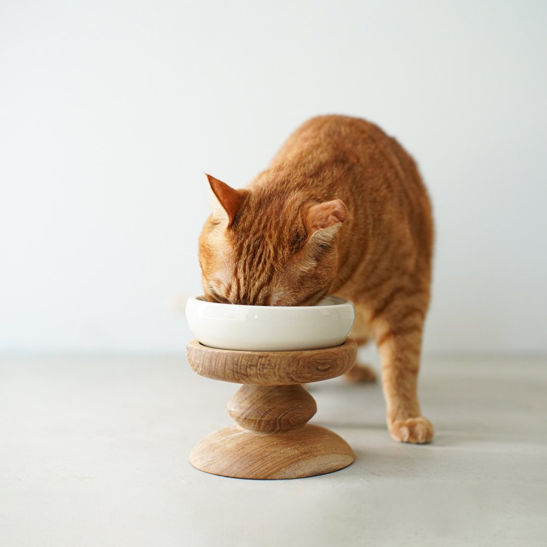 the food bowl stand set, with a turned wood base and ceramic bowl, is ¥\10 20