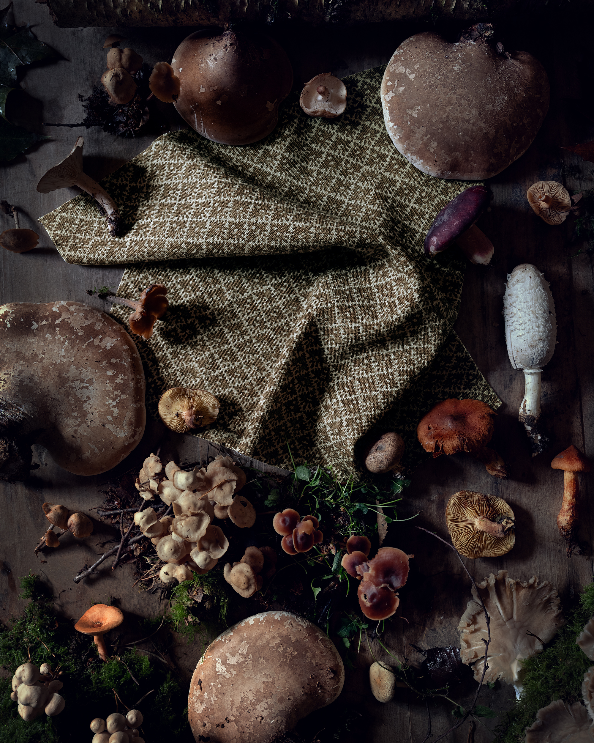 kinoko is a cotton linen ode to the fungi kingdom both above and below the grou 20