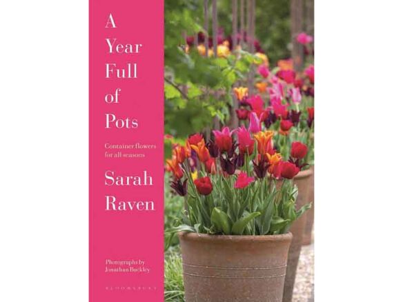 a year full of pots: container flowers for all seasons 16