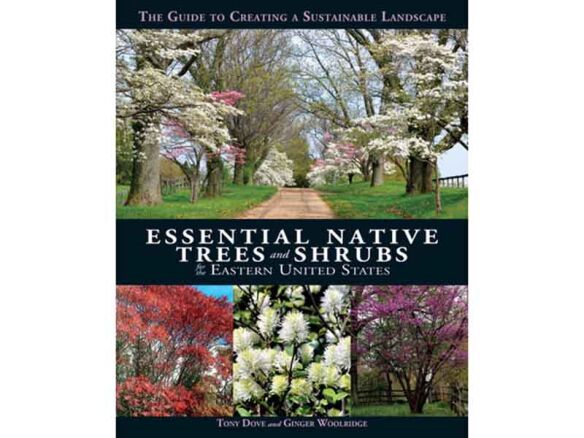essential native trees and shrubs for the eastern united states 17