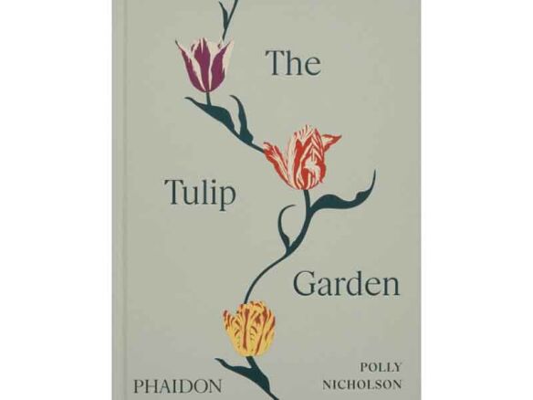 the tulip garden: growing and collecting species 14