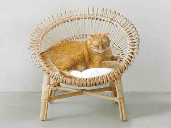 orneko rattan chair with cushion 8