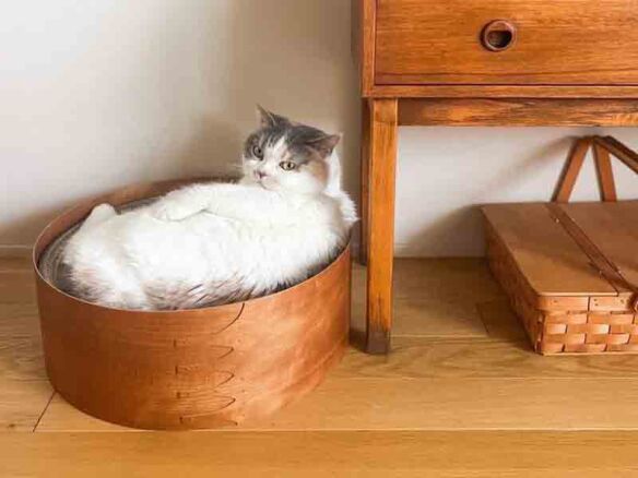 shaker style box cat bed from orneko tokyo  