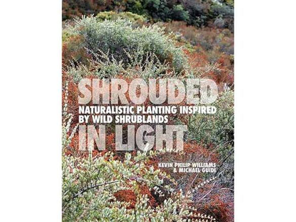 shrouded in light: naturalistic planting inspired by wild shrublands 8