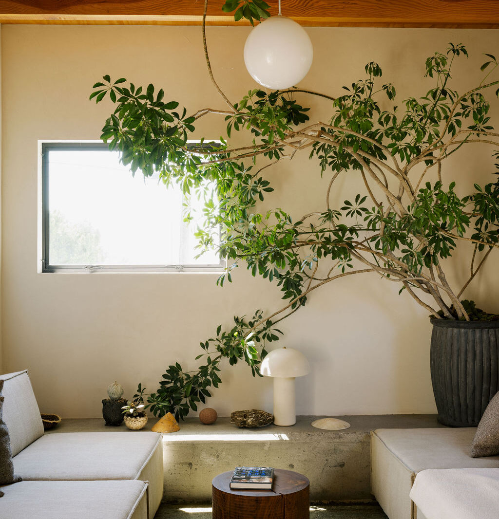 austin john molly sedlacek house living  