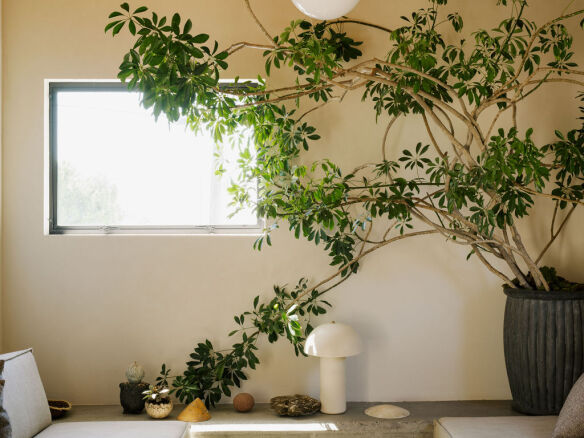 austin john molly sedlacek house living  