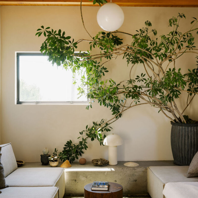 austin john molly sedlacek house living  