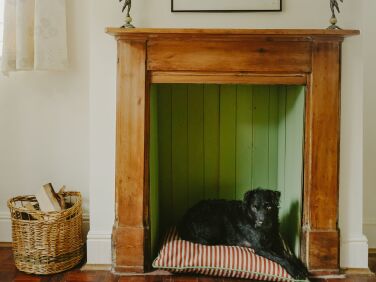 colours of arley bespoke pet cushion