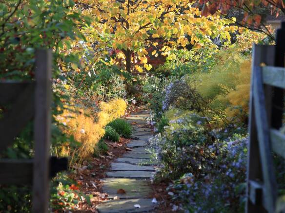 leave leaves refugia 2  