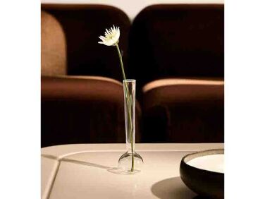 Shoppers Diary Mango Home Glassware and More in Mediterranean Colors portrait 7