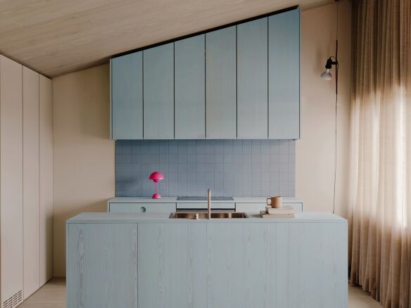 egehusene eyvind retzius svein bjoland linolie pigment  