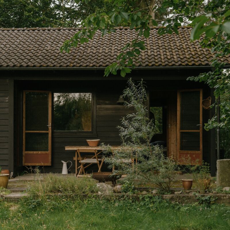 the pine house 1970 denmark fredrik aartun kasia sznajder 15  
