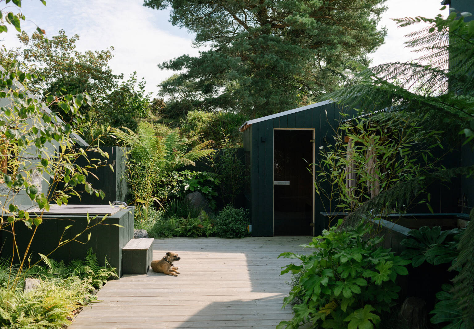 En la robusta costa de Irlanda