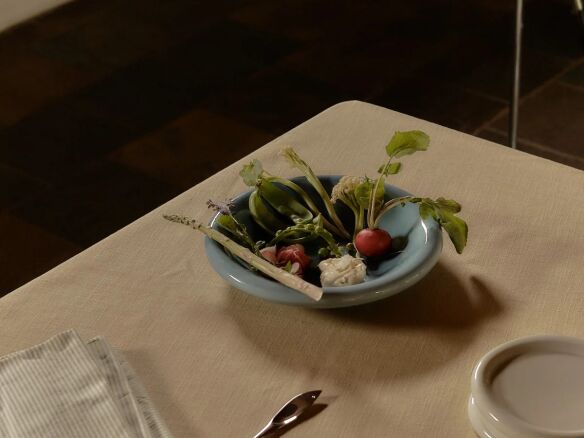 softedge dinner dish cornflower  