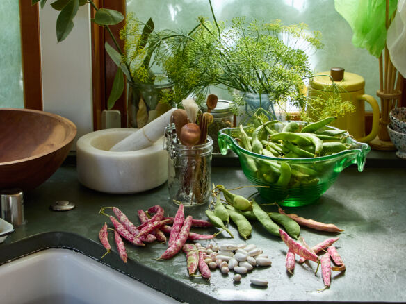 aya brackett good things samin nosrat 71  