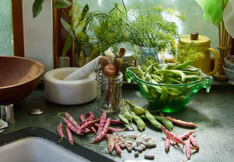 Kitchens of the Week: Chef Samin Nosrat’s Characterful Oakland Kitchens
