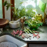 kitchens of the week: chef samin nosrat's characterful oakland kitchens 11