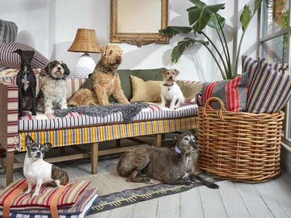 dog bed settee for howe london  