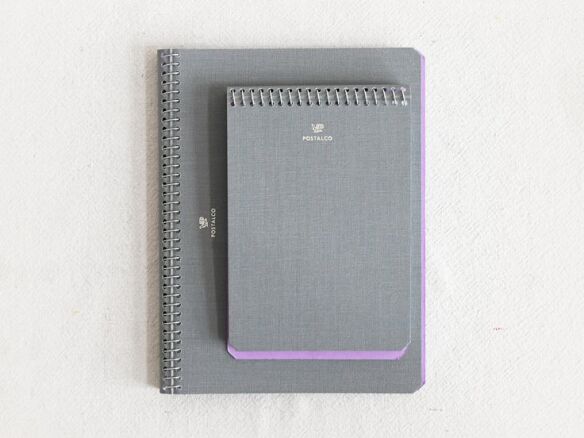 pingraph notebook in heather gray 12