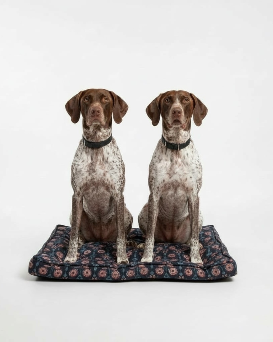 just launched nyc company raja doggo makes dog beds out of indian organic cotto 20