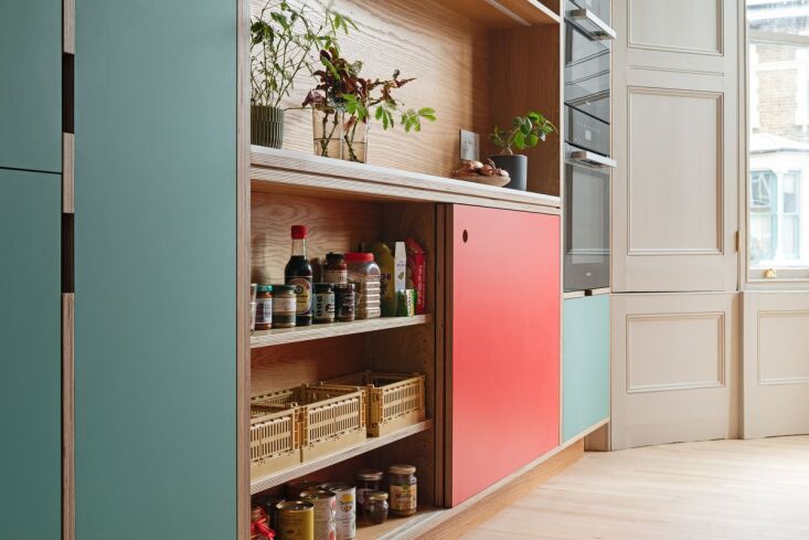 compact and orderly pantry shelves in a stoke newington color rich kitchen. the 23