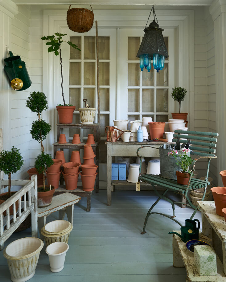 Descubrimientos en el jardín. 31