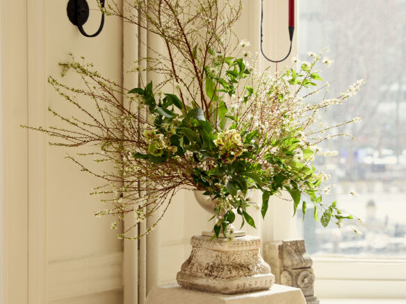 armadillo showroom ethan ogrady photo romilly newman  