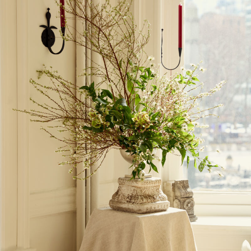 armadillo showroom ethan ogrady photo romilly newman  