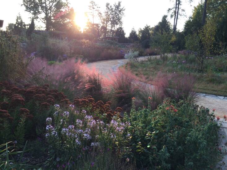 El poder de los caminos curvos. Foto de Shannon Currey/izel Native 20