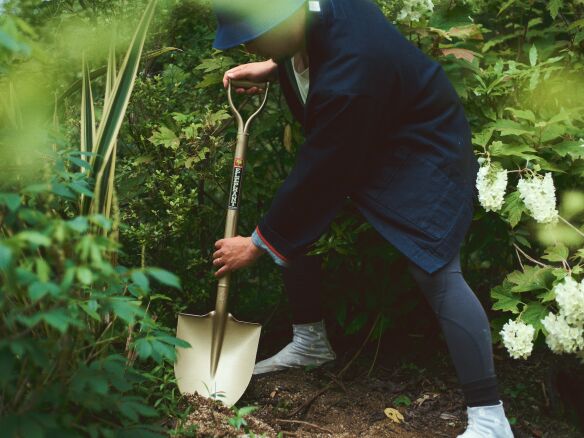 golden spade niwaki  