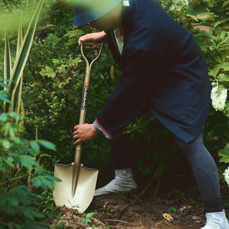 golden spade niwaki  